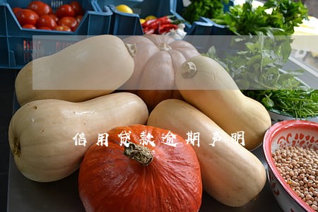 信用贷款逾期声明 信用贷款逾期声明