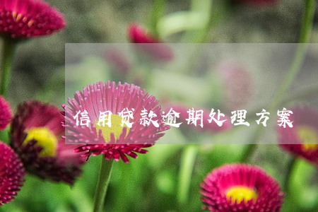 信用贷款逾期处理方案 信用贷款逾期处理方案