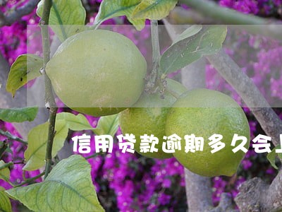 信用贷款逾期多久会上征信 信用贷款逾期多久会上征信