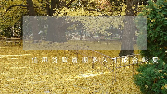 信用贷款逾期多久才能会恢复 信用贷款逾期多久才能会恢复