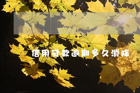 信用贷款逾期多久消除 信用贷款逾期多久消除