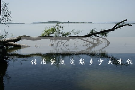 信用贷款逾期多少天才能起诉 信用贷款逾期多少天才能起诉