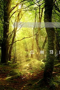 信用贷款逾期多少天进入关注 信用贷款逾期多少天进入关注