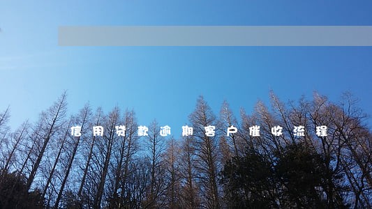信用贷款逾期客户催收流程 信用贷款逾期客户催收流程