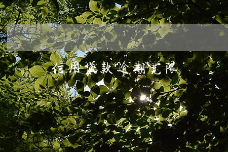信用贷款逾期宽限 信用贷款逾期宽限