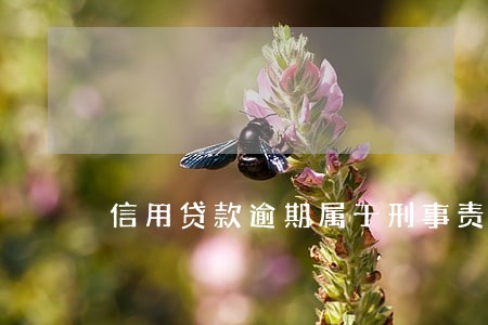 信用贷款逾期属于刑事责任吗 信用贷款逾期属于刑事责任吗