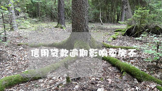 信用贷款逾期影响卖房不 信用贷款逾期影响卖房不