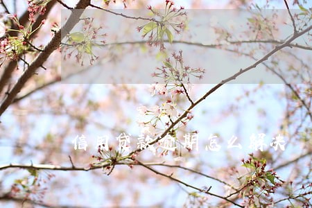 信用贷款逾期怎么解决 信用贷款逾期怎么解决
