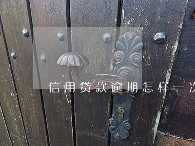 信用贷款逾期怎样一次付清 信用贷款逾期怎样一次付清