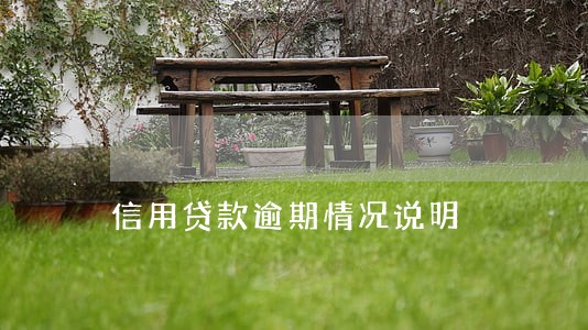 信用贷款逾期情况说明 信用贷款逾期情况说明