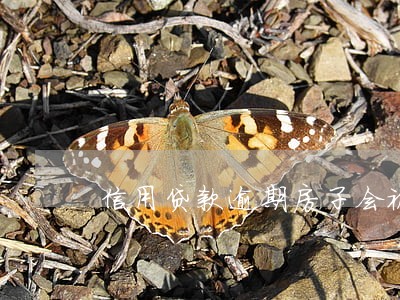 信用贷款逾期房子会被执行吗 信用贷款逾期房子会被执行吗