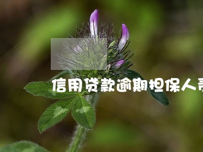 信用贷款逾期担保人责任 信用贷款逾期担保人责任