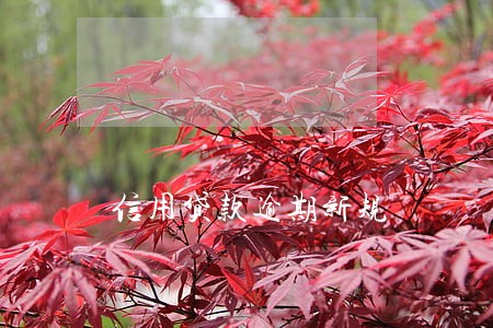 信用贷款逾期新规 信用贷款逾期新规