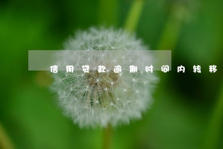 信用贷款逾期时间内转移财产