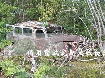 信用贷款逾期是联合惩戒对 信用贷款逾期是联合惩戒对