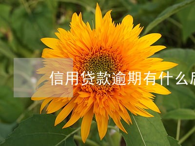 信用贷款逾期有什么后果 信用贷款逾期有什么后果