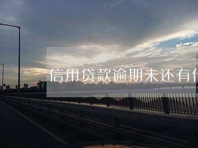 信用贷款逾期未还有什么后果 信用贷款逾期未还有什么后果