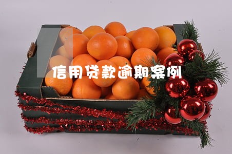 信用贷款逾期案例