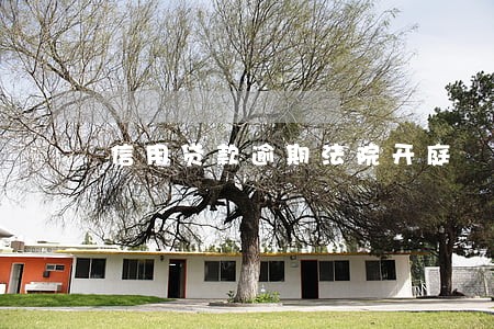信用贷款逾期法院开庭 信用贷款逾期法院开庭