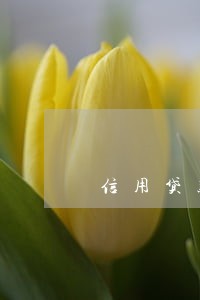 信用贷款逾期的分录 信用贷款逾期的分录