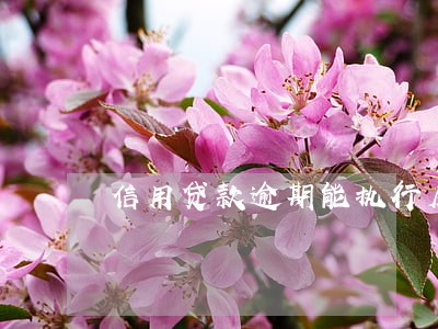 信用贷款逾期能执行房子吗 信用贷款逾期能执行房子吗