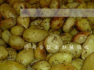 信用贷款逾期被催收 信用贷款逾期被催收