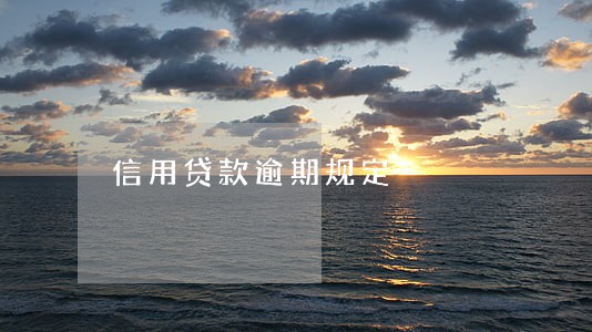 信用贷款逾期规定
