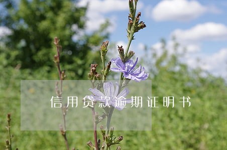 信用贷款逾期证明书 信用贷款逾期证明书