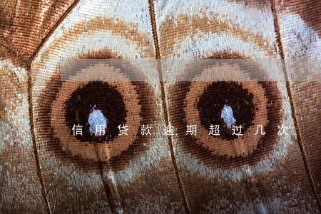 信用贷款逾期超过几次