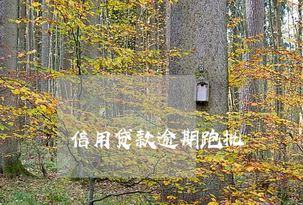 信用贷款逾期跑批 信用贷款逾期跑批