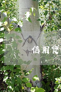 信用贷款逾期跑路失联 信用贷款逾期跑路失联