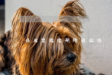 信用贷款逾期跨月征信 信用贷款逾期跨月征信