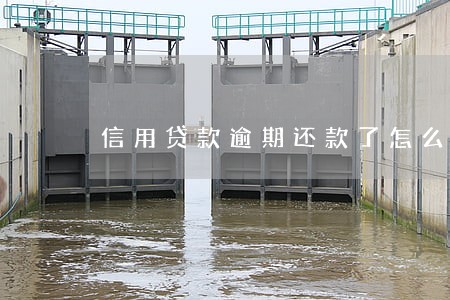 信用贷款逾期还款了怎么办 信用贷款逾期还款了怎么办