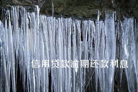 信用贷款逾期还款利息 信用贷款逾期还款利息