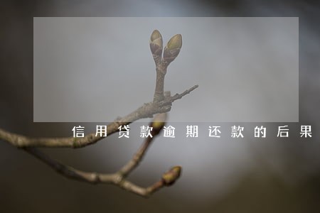 信用贷款逾期还款的后果 信用贷款逾期还款的后果