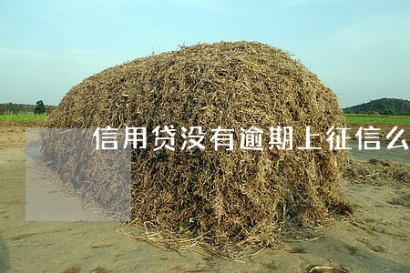 信用贷没有逾期上征信么 信用贷没有逾期上征信么