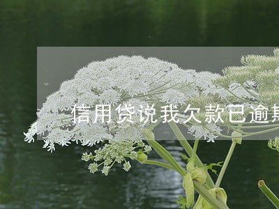 信用贷说我欠款已逾期 信用贷说我欠款已逾期