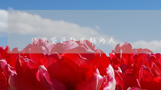 信用贷还款逾期两天 信用贷还款逾期两天