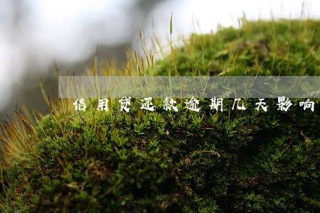 信用贷还款逾期几天影响大吗
