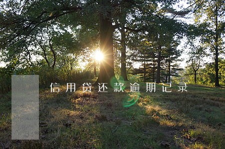 信用贷还款逾期记录 信用贷还款逾期记录