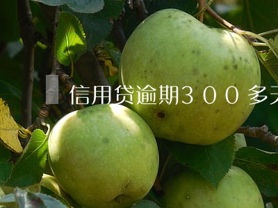 信用贷逾期300多天 信用贷逾期300多天