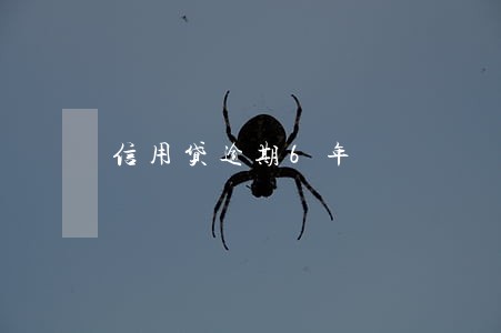信用贷逾期6年 信用贷逾期6年