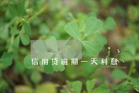 信用贷逾期一天利息 信用贷逾期一天利息