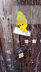 信用贷逾期一天还能再授信嘛 信用贷逾期一天还能再授信嘛