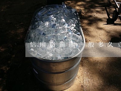 信用贷逾期一般多久立案 信用贷逾期一般多久立案