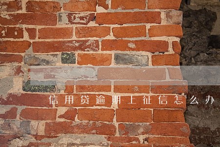信用贷逾期上征信怎么办 信用贷逾期上征信怎么办
