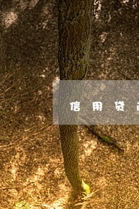 信用贷逾期上门卖房