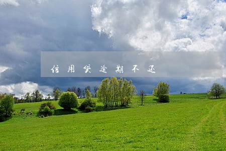 信用贷逾期不还 信用贷逾期不还