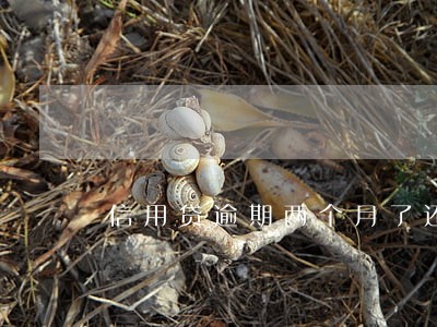 信用贷逾期两个月了还一个月 信用贷逾期两个月了还一个月