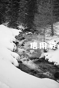 信用贷逾期两月 信用贷逾期两月